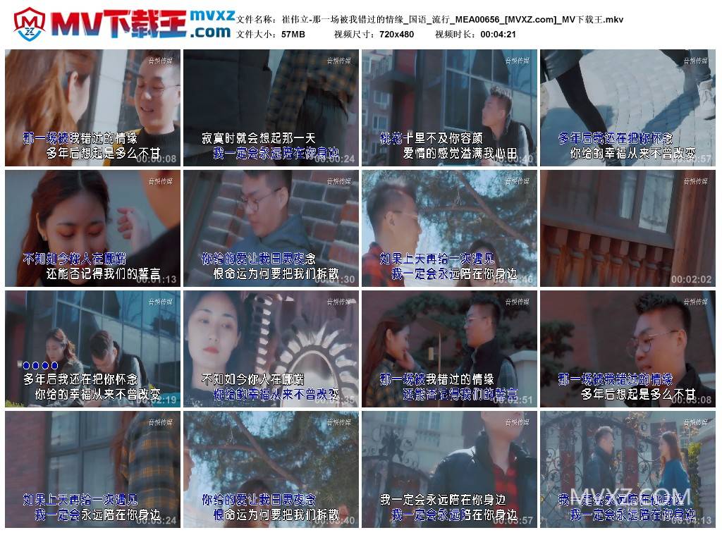 崔伟立-那一场被我错过的情缘_国语_流行_MEA00656